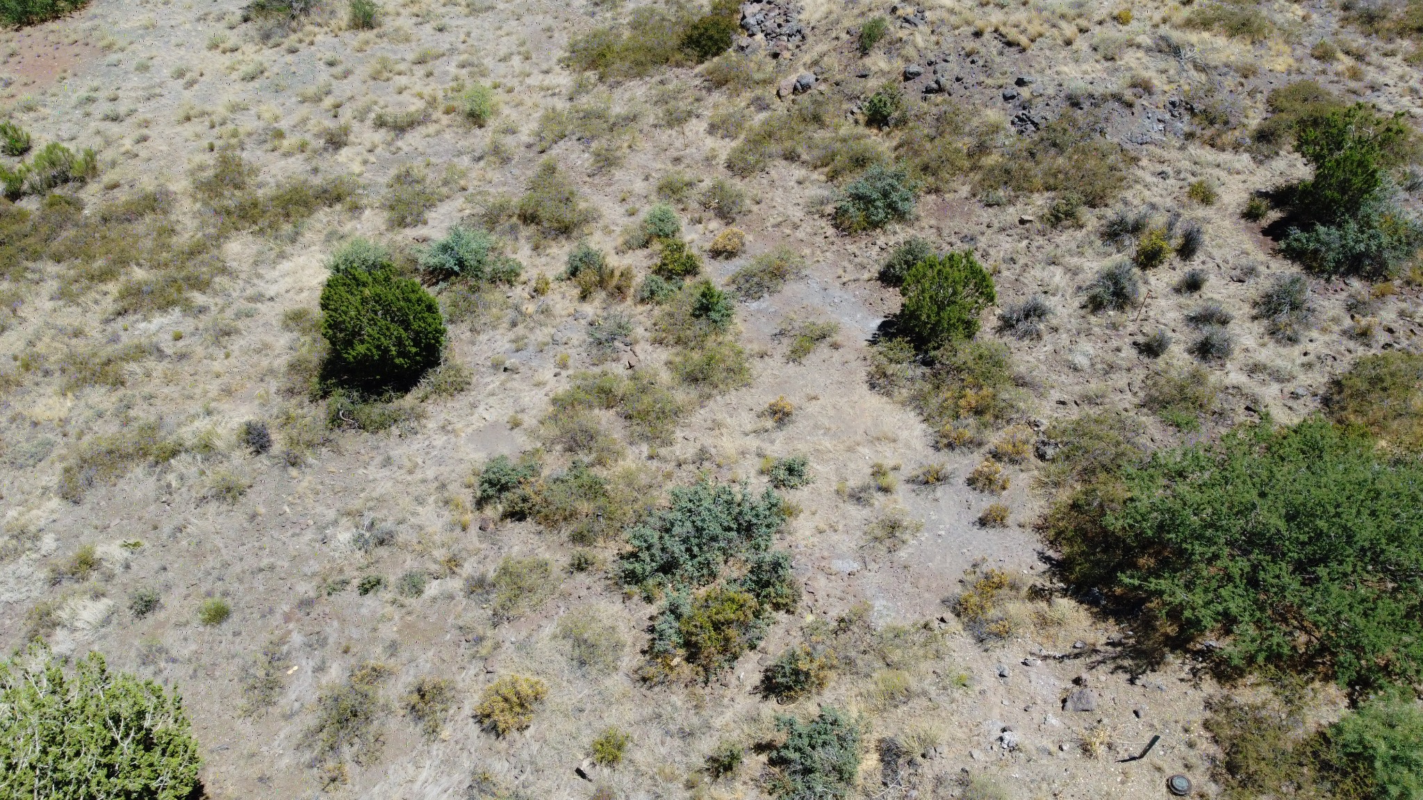 Bensch Ranch Lot 312 view 3