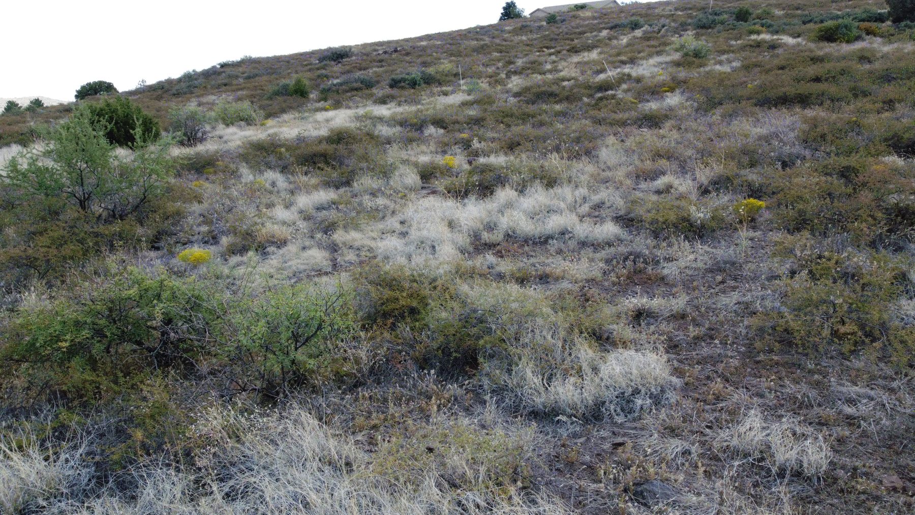 Bensch Ranch Setting