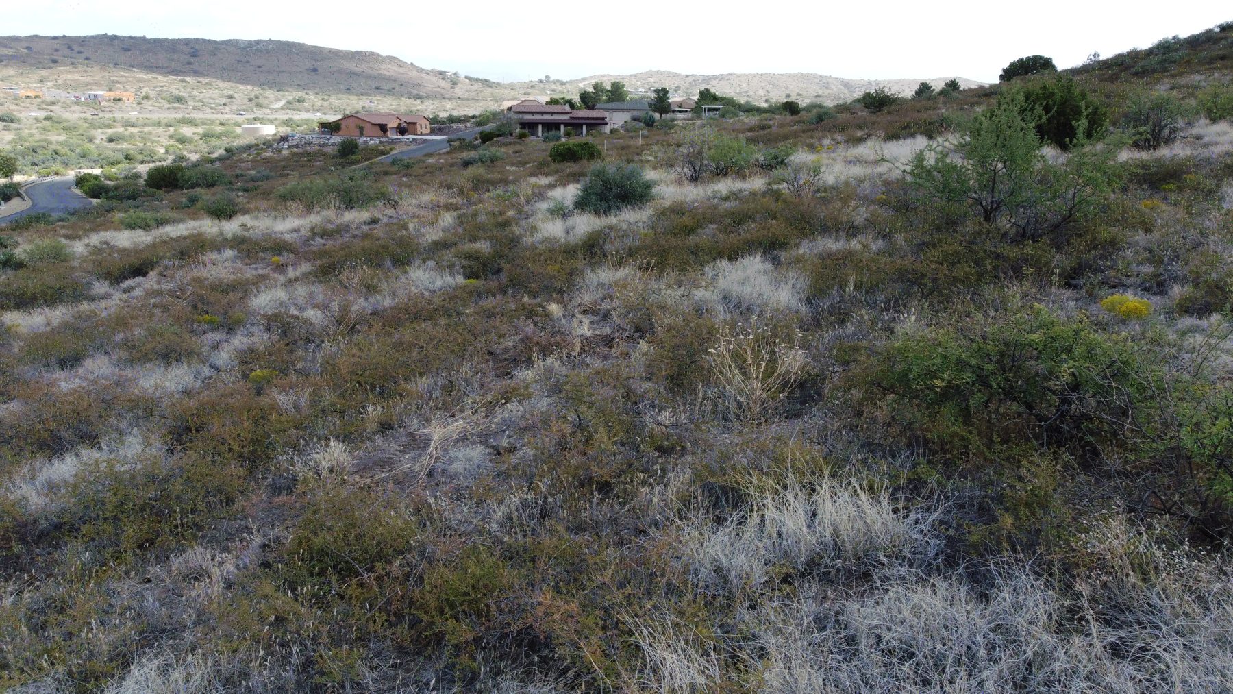 Surrounding Views