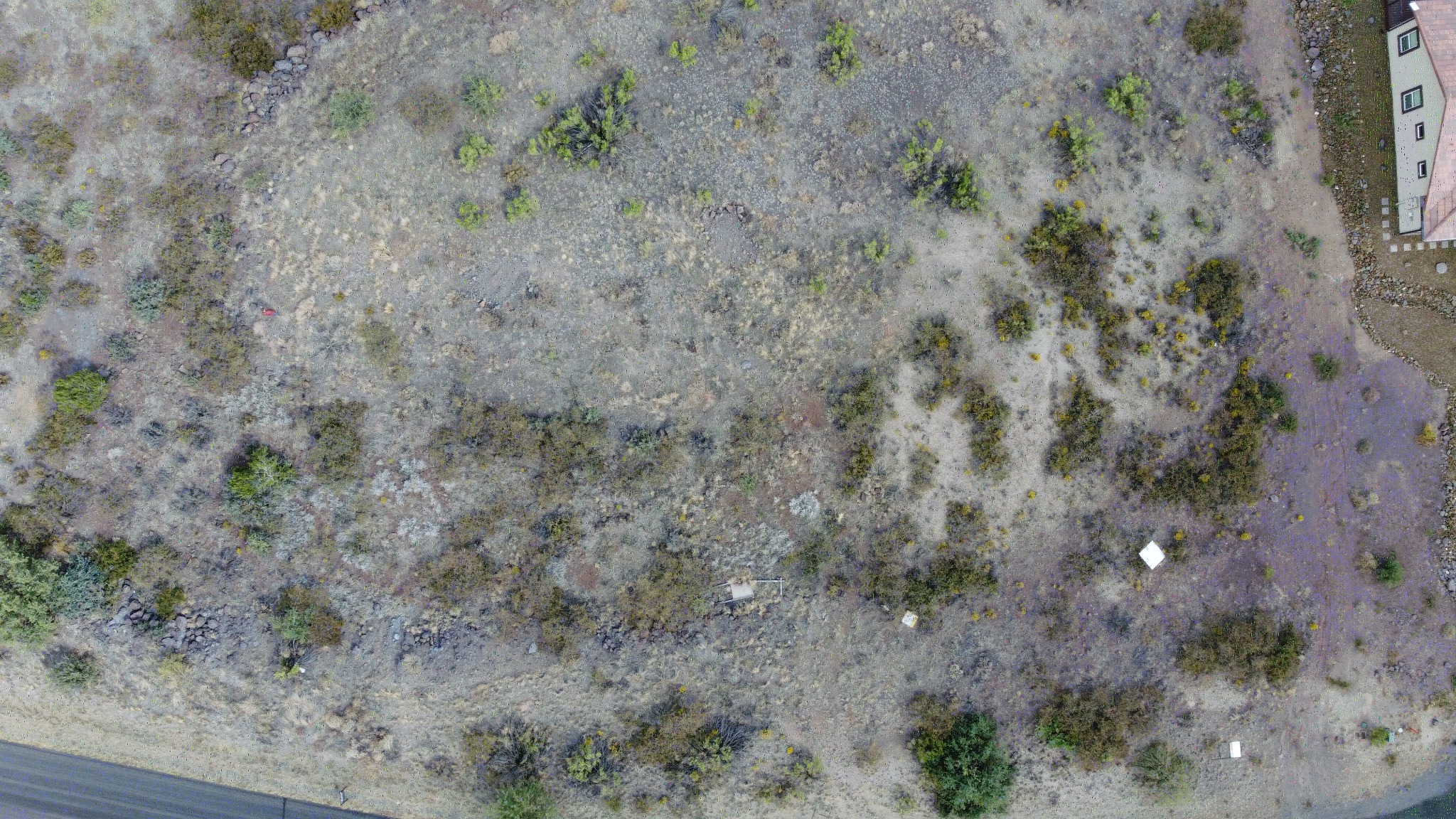 Bensch Ranch Lot 311 view 9