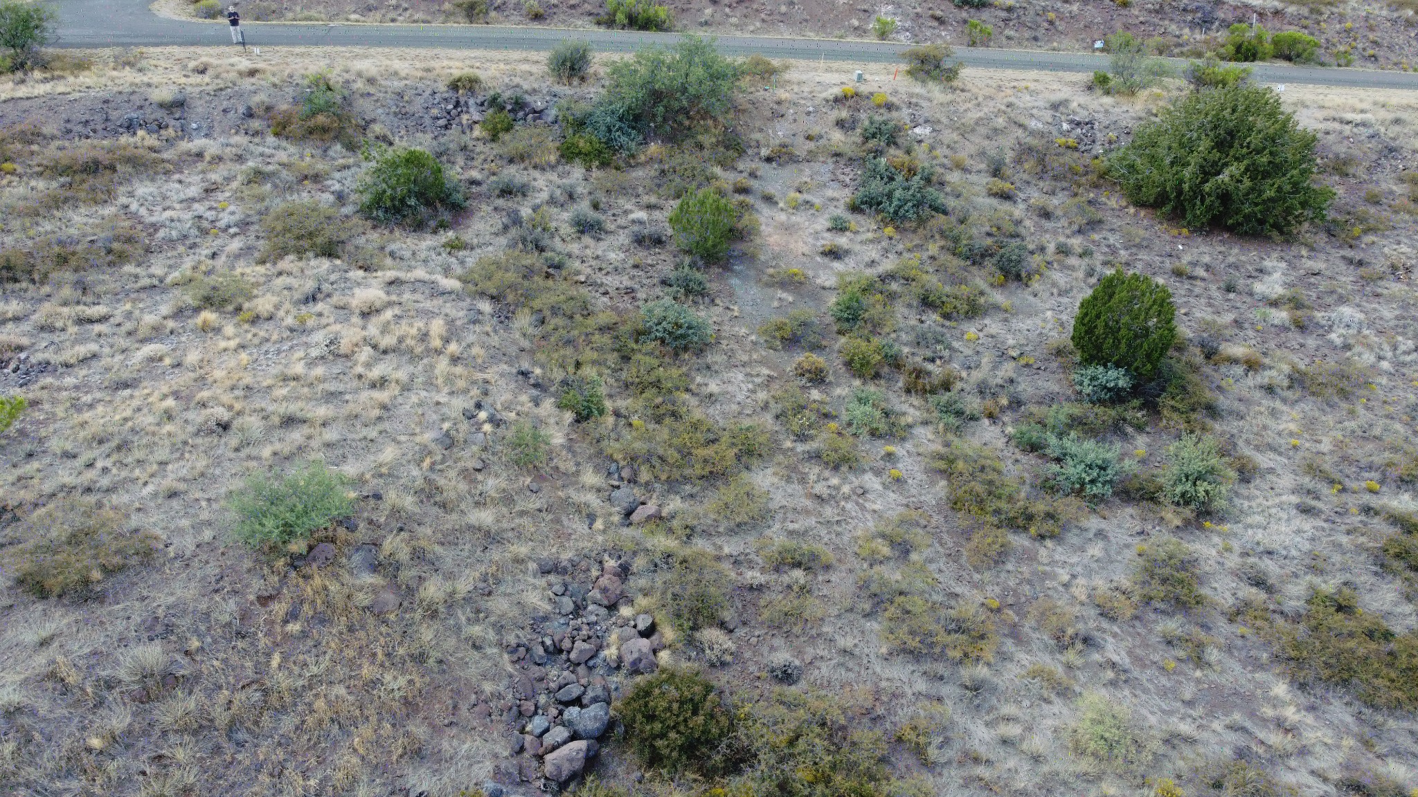 Bensch Ranch Lot 312 view 10