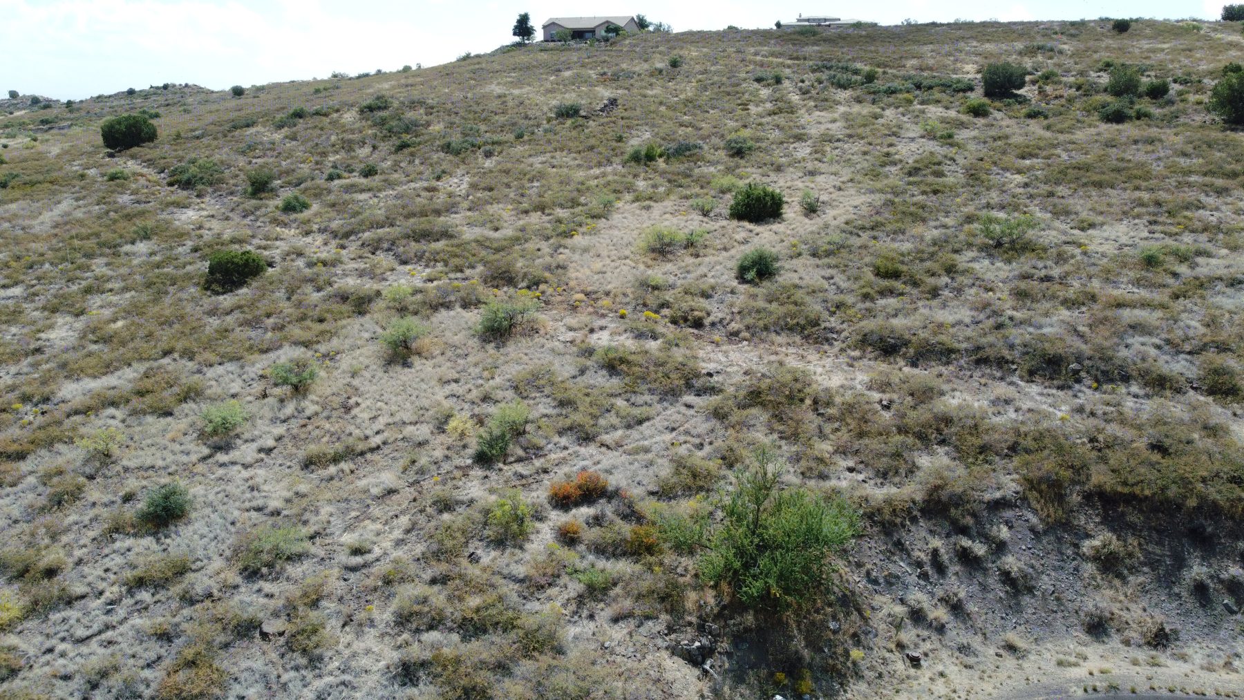 Lot 341